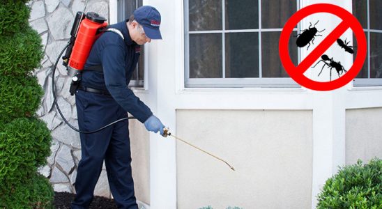Atakum Kene İlaçlama böcek ilaçlama ve haşere kontrolü — ilaclama-tr.com